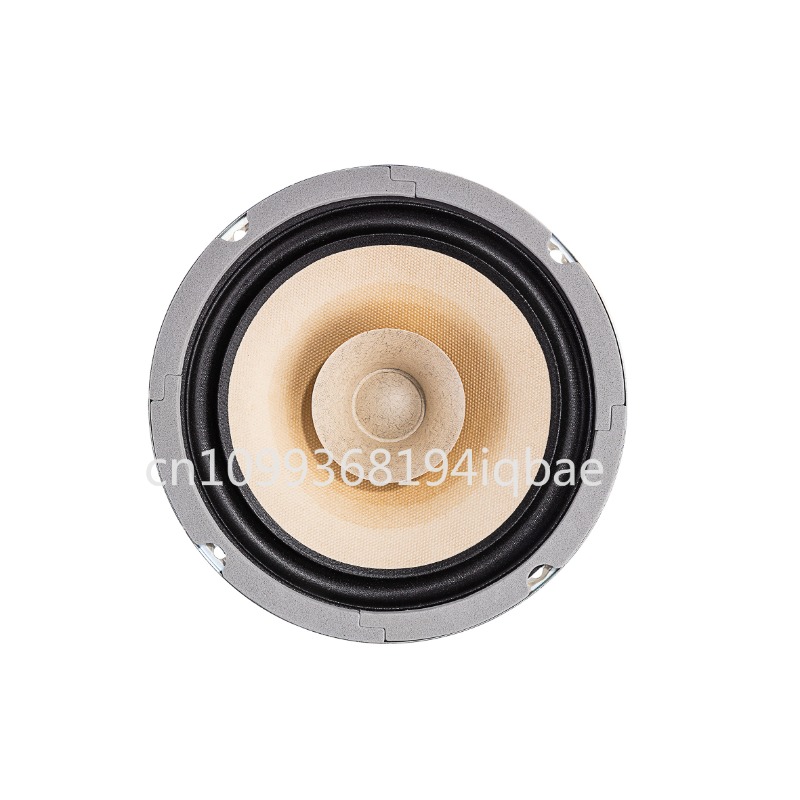 A pair Lii Song 8-inch 8 ohms  - огляд і ціна Diy Speaker