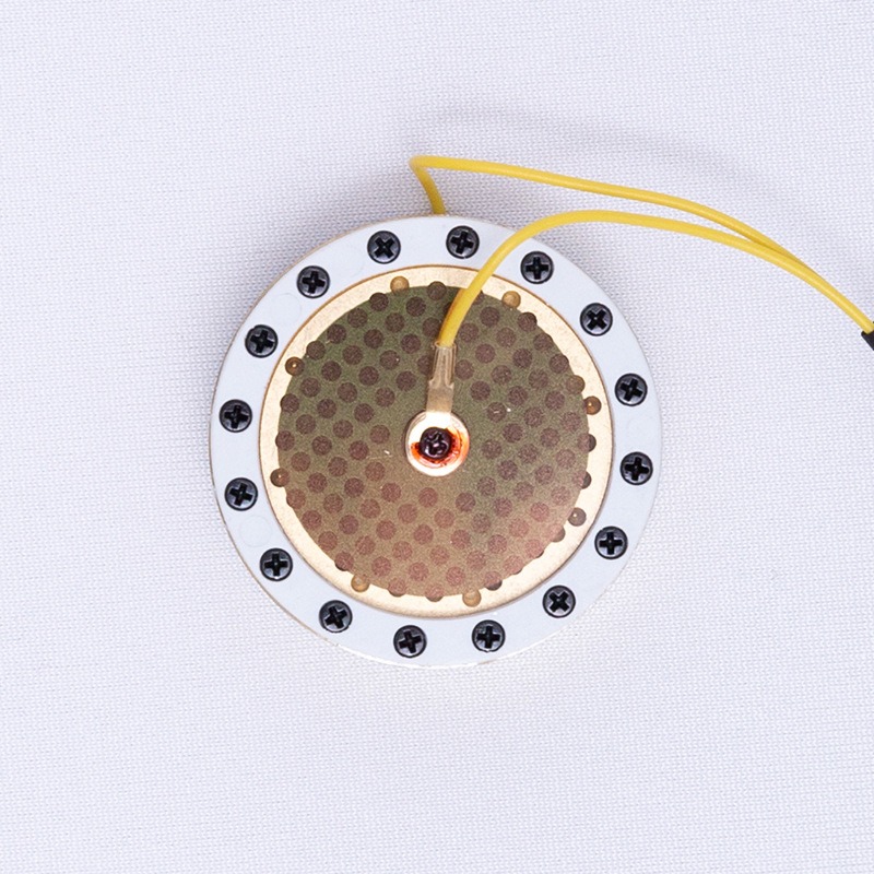 RK-87 Large Diaphragm Micropho - огляд і ціна Microphone Capsule