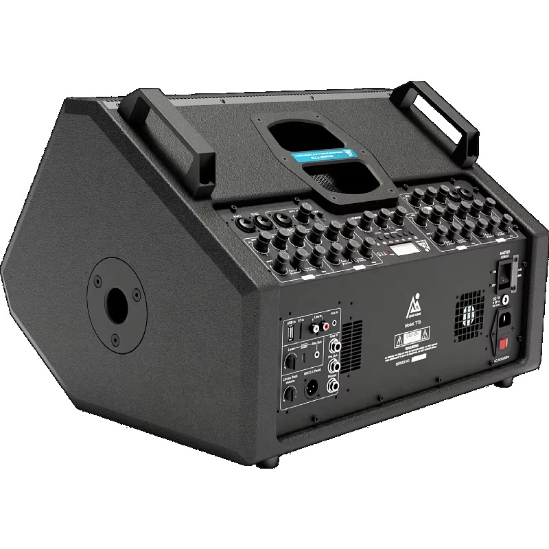 Rechargeable Active Stage Spea - огляд і ціна Tweeter