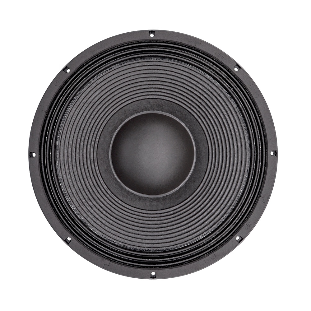 21'' Professional Audio System - огляд і ціна Subwoofer