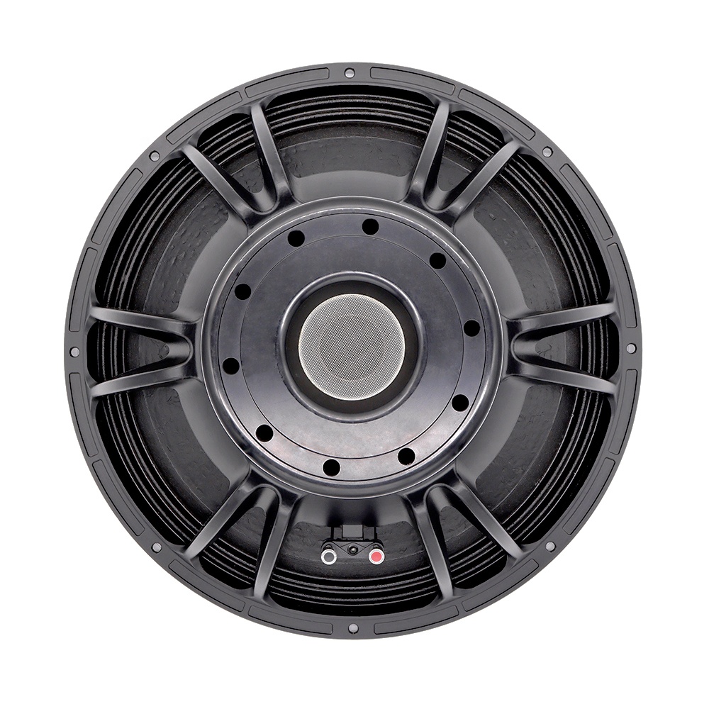 21'' Professional Audio System - огляд і ціна Subwoofer